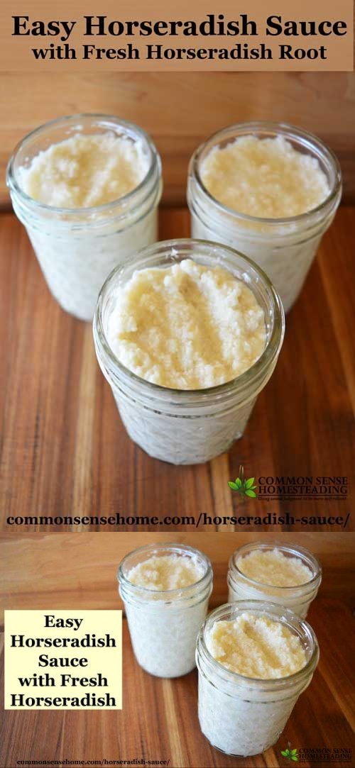 Easy Horseradish Sauce