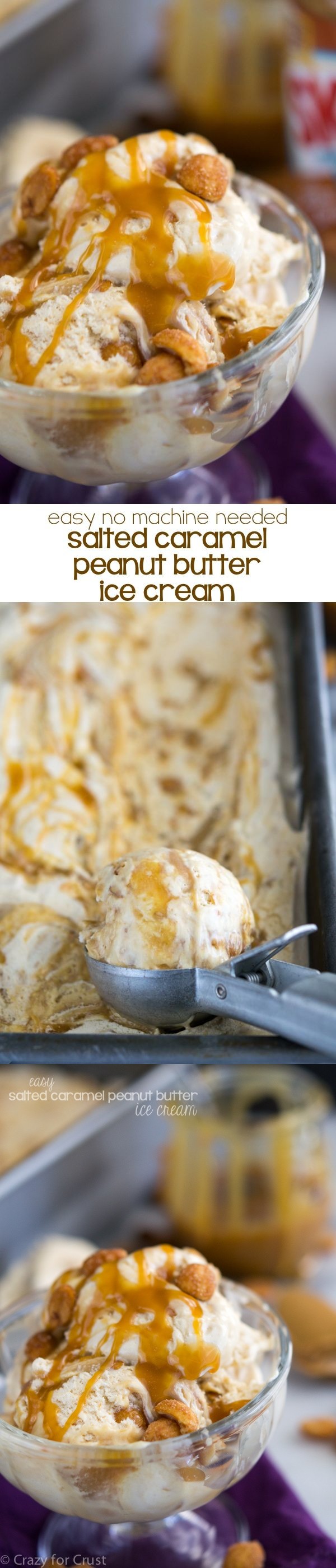 Easy Salted Caramel Peanut Butter Ice Cream