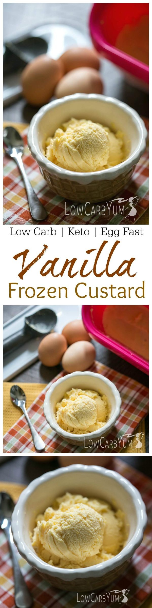 Egg Fast Vanill Frozen Custard