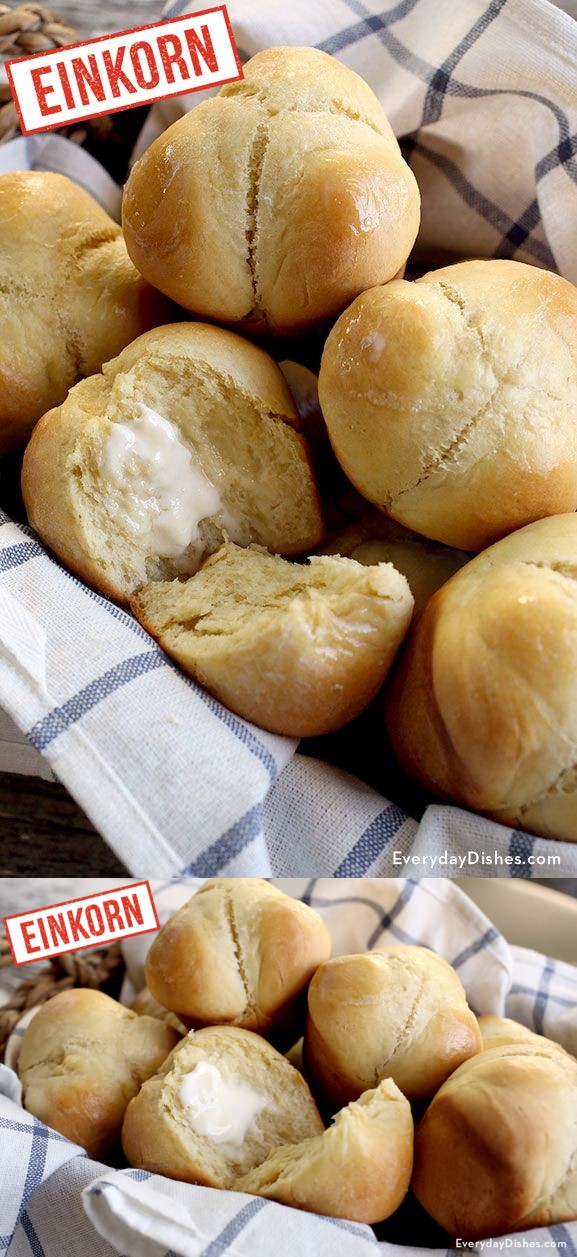 Einkorn yeast rolls