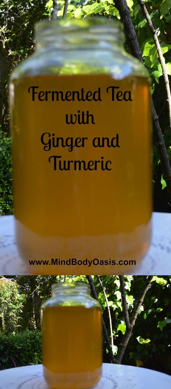 Fermented Tea with Ginger and Tumeric