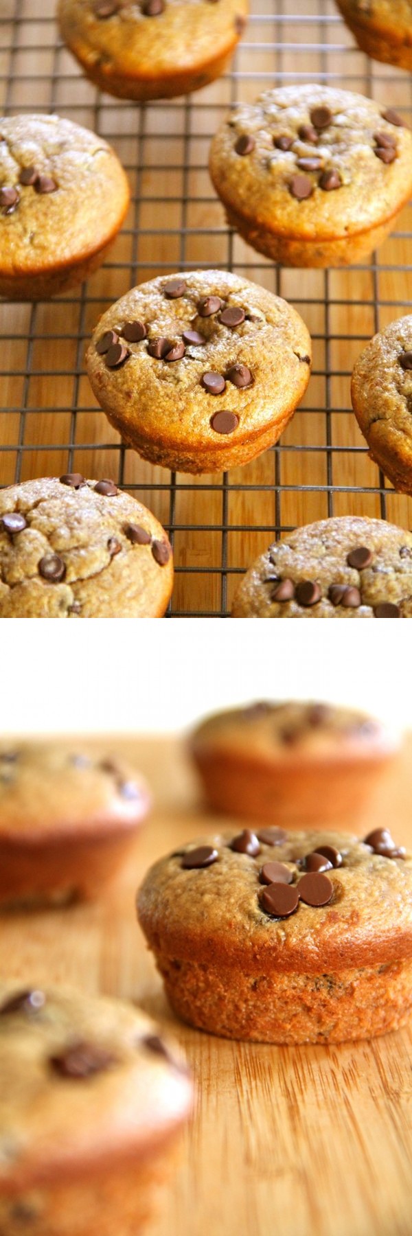 Flourless Chocolate Chip Almond Butter Muffins