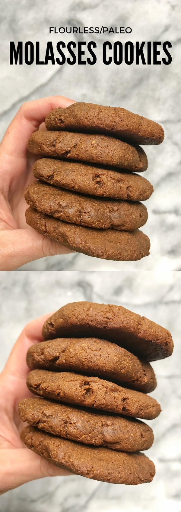 Flourless Cinnamon Molasses Cookies