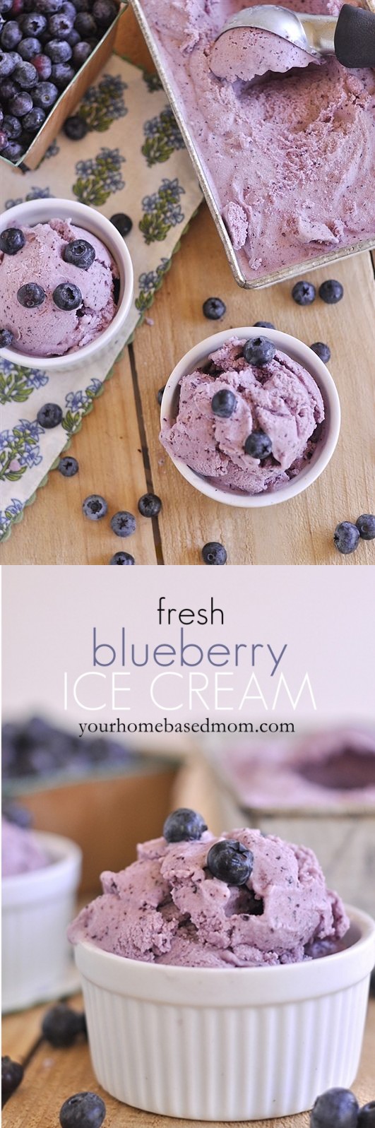 Fresh Blueberry Ice Cream