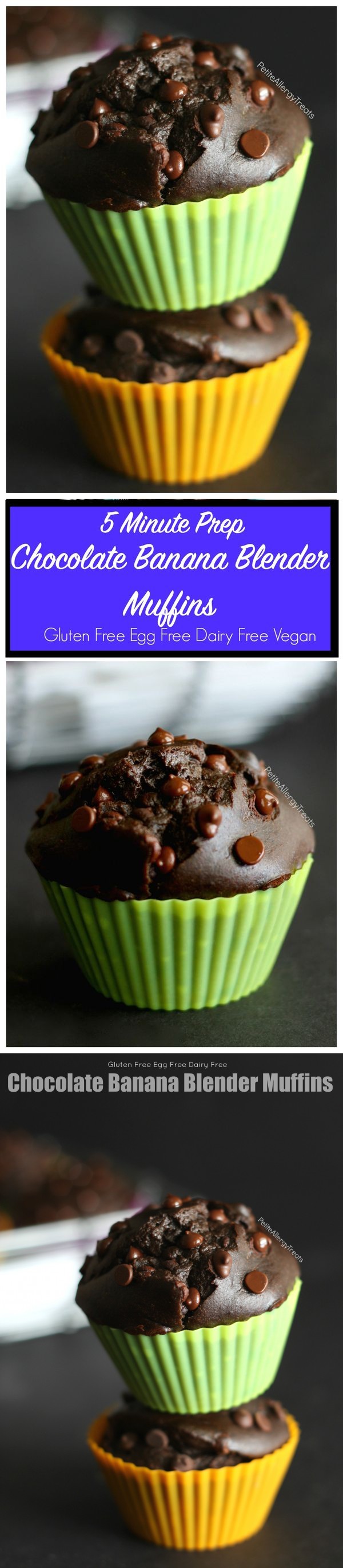 Gluten Free Blender Chocolate Banana Muffins (Vegan