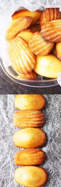 Gluten Free Madeleines