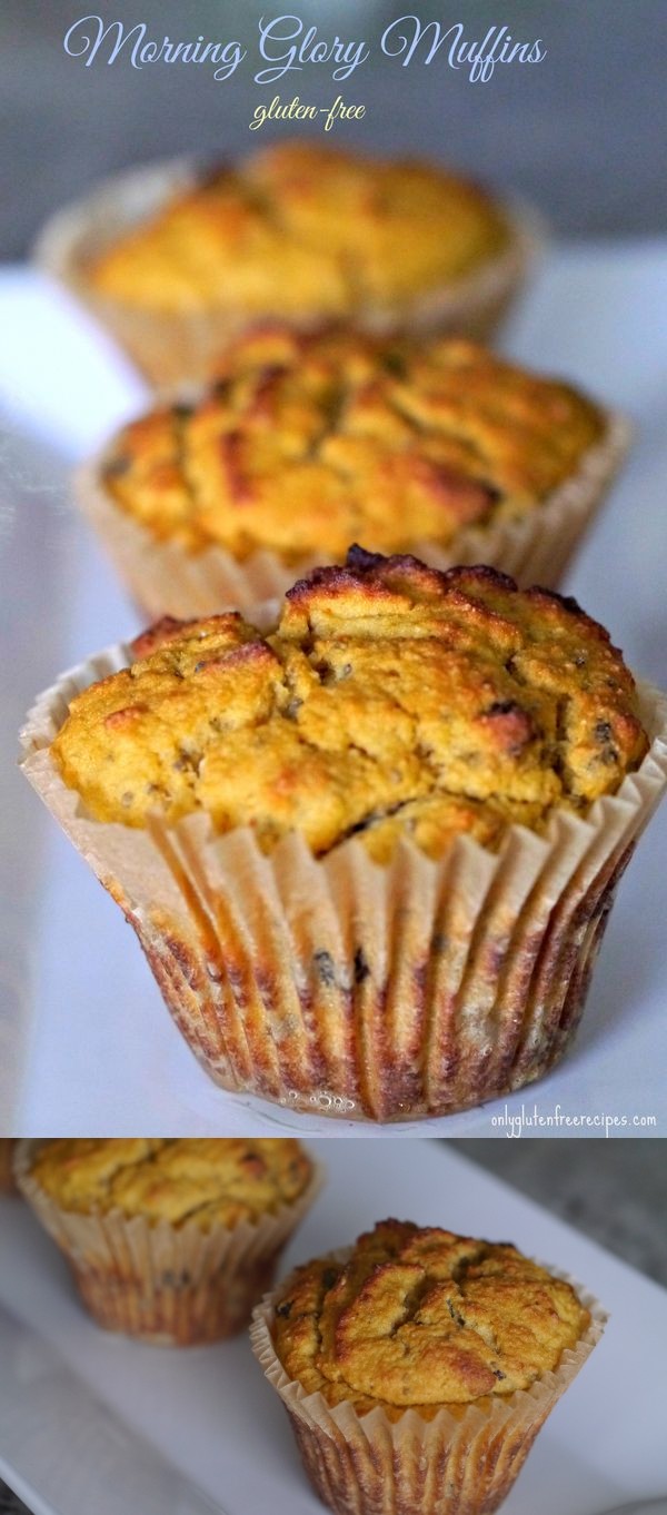 Gluten-Free Morning Glory Muffins