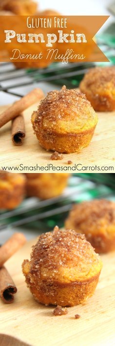 Gluten Free Pumpin Donut Muffins