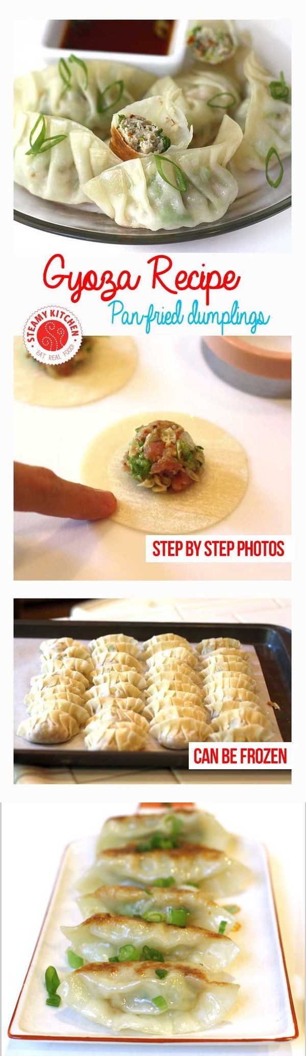 Gyoza Recipe (Japanese Pan-Fried Dumplings