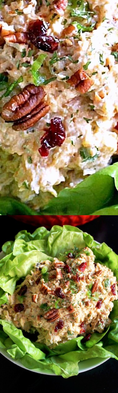 Holiday Chicken Salad with Pecans and Cranberries