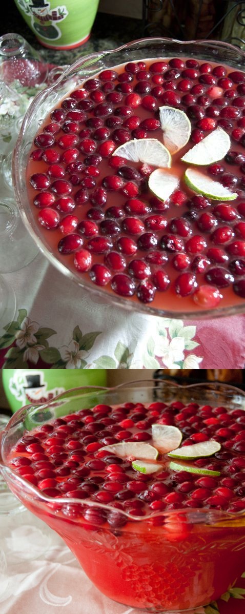 Holiday Red Cranberry Punch