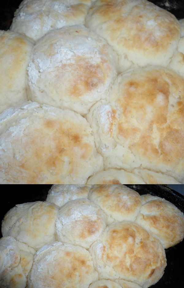 Homemade Biscuits from Scratch