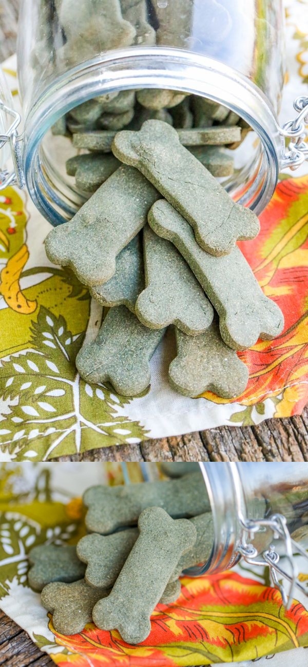 Homemade Greenies (Breath Freshening Dog Treats