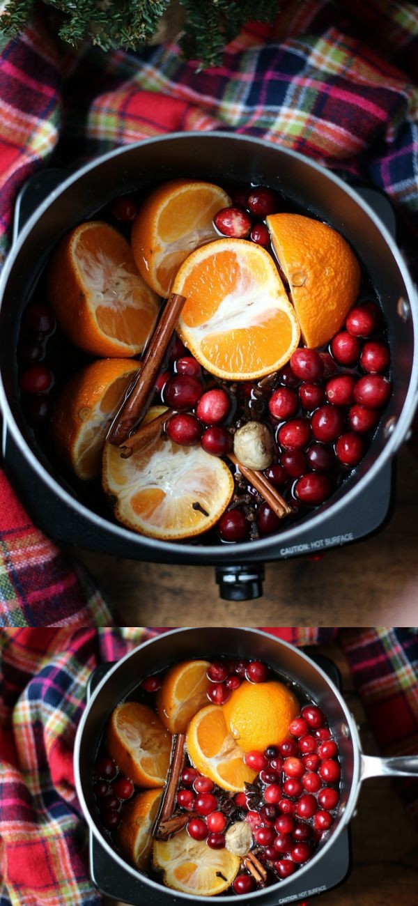 Homemade Holiday Potpourri