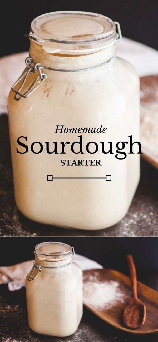 Homemade Sourdough Starter