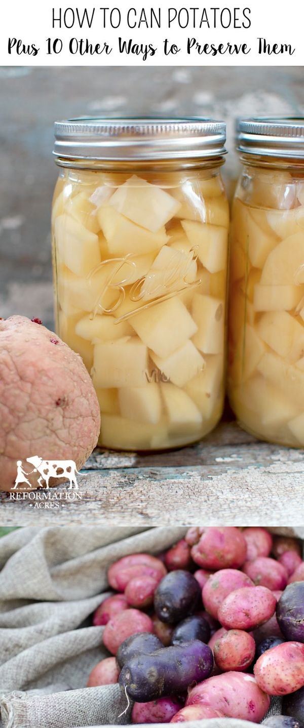 How to Can Potatoes (Plus 10 Other Ways to Preserve Them