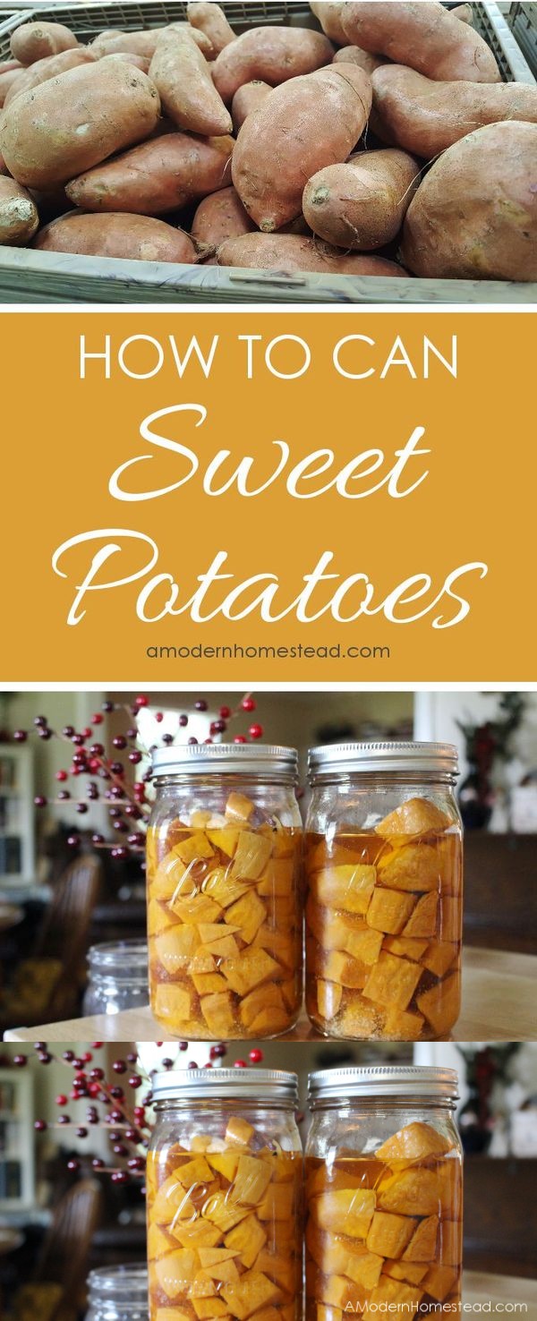 How to Can Sweet Potatoes