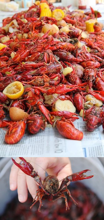 how-to-cook-crawfish