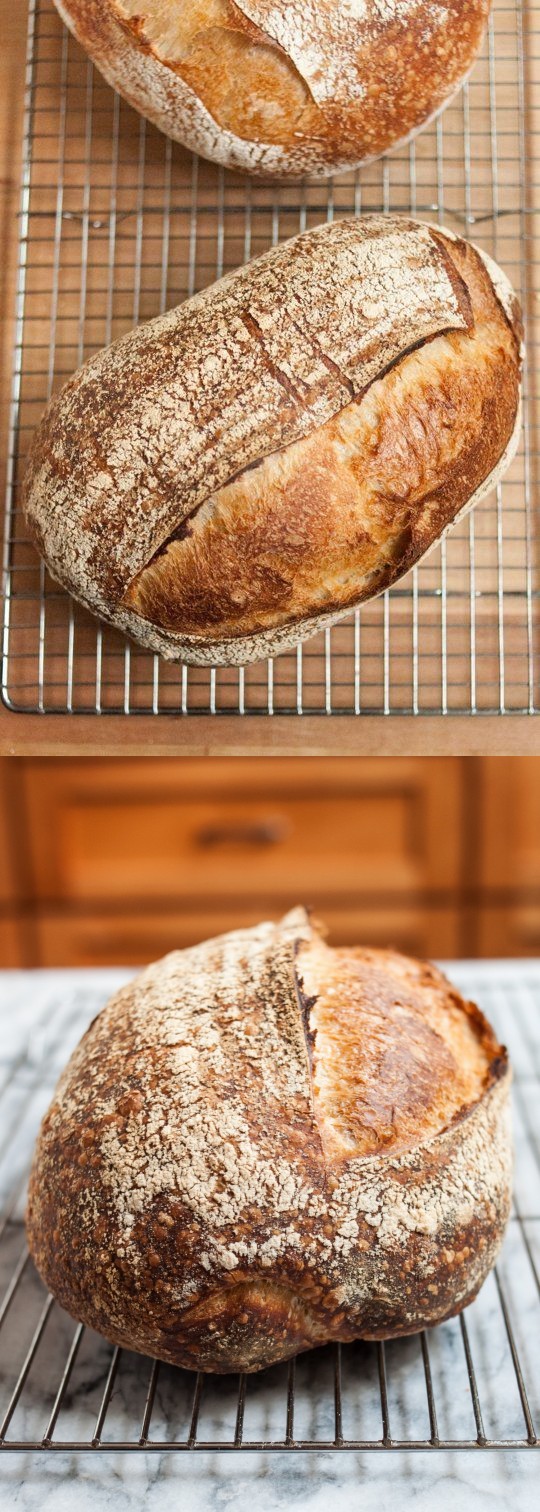 How To Make Sourdough Bread