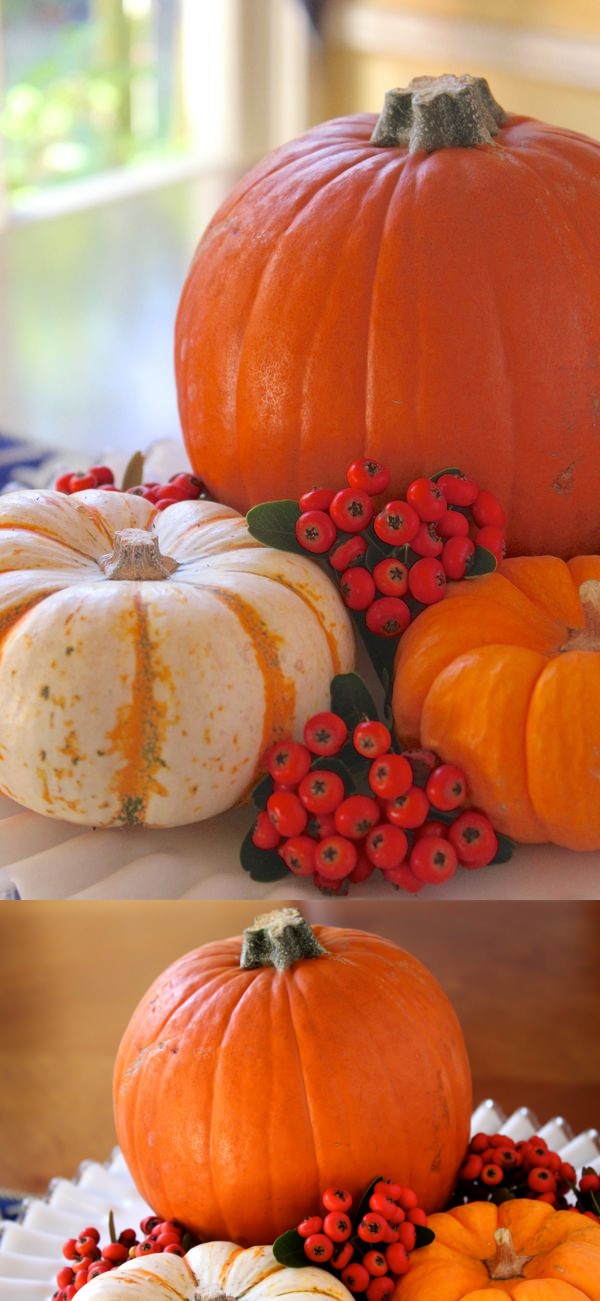 How to Prepare a Pumpkin (How to Cook, Bake or Roast a Pumpkin