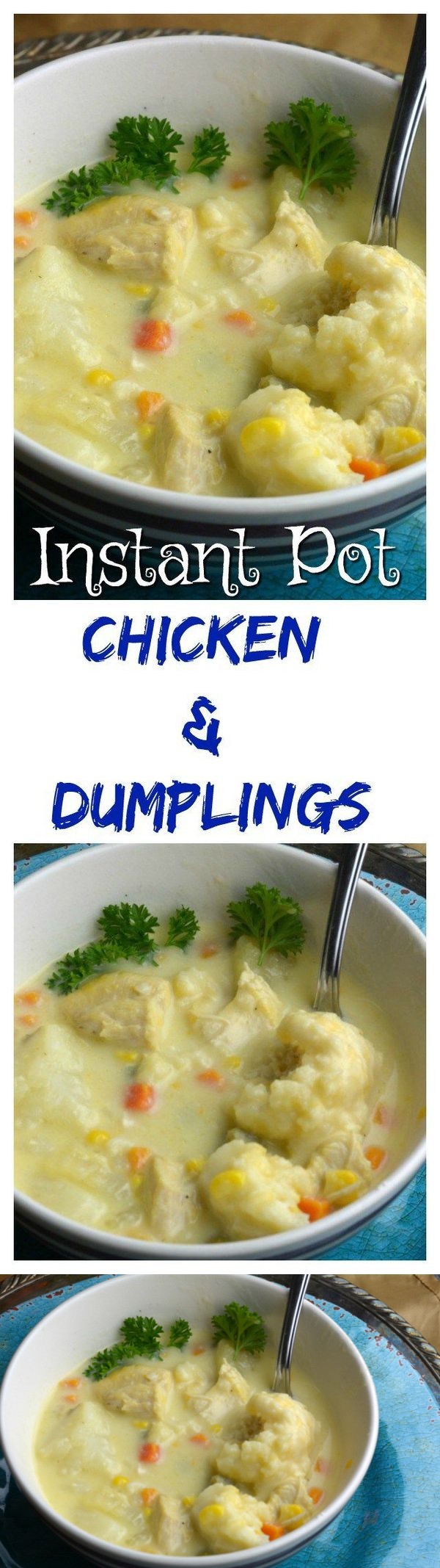 Instant Pot Chicken and Dumplings