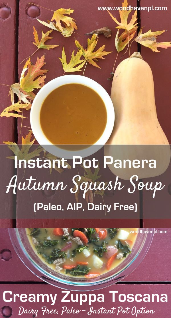 Instant Pot Panera Copycat Autumn Squash Soup (Paleo, AIP, Dairy Free