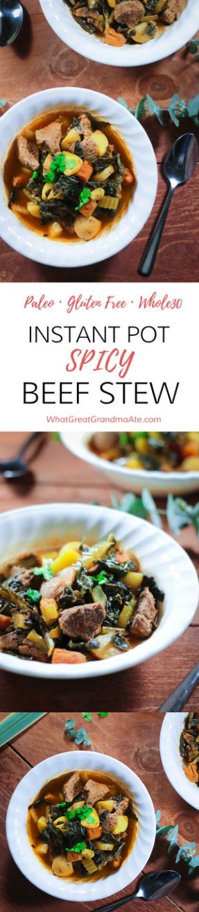 Instant Pot Spicy Beef Stew