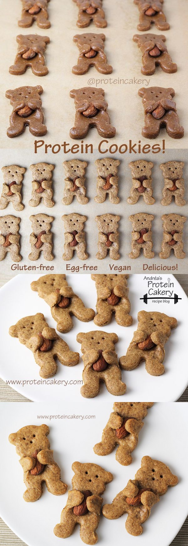 Maple Almond Bear Hug Protein Cookies