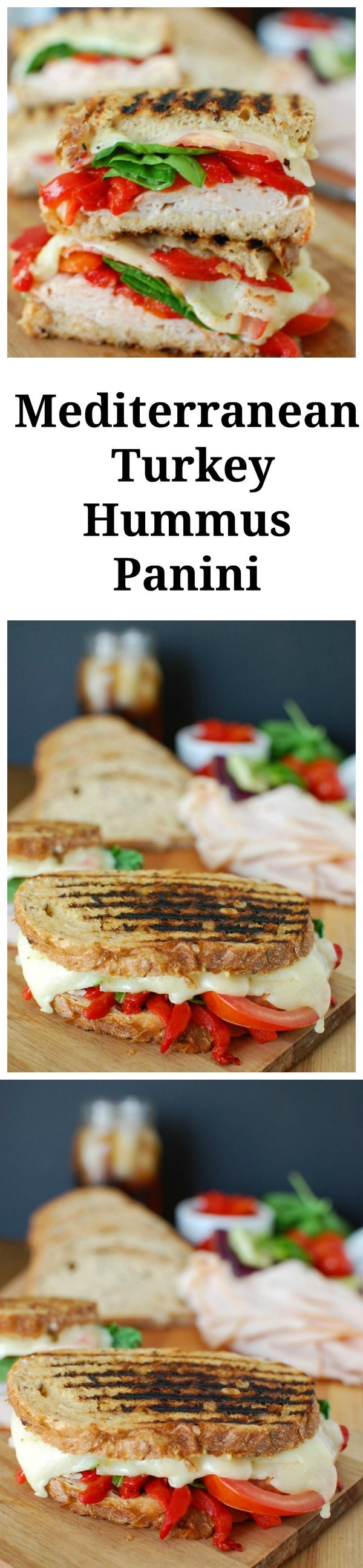 Mediterranean Turkey Hummus Panini