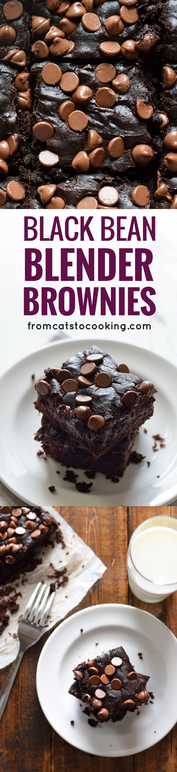 Mexican Black Bean Blender Brownies