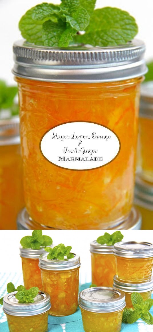 Meyer Lemon, Orange and Fresh Ginger Marmalade