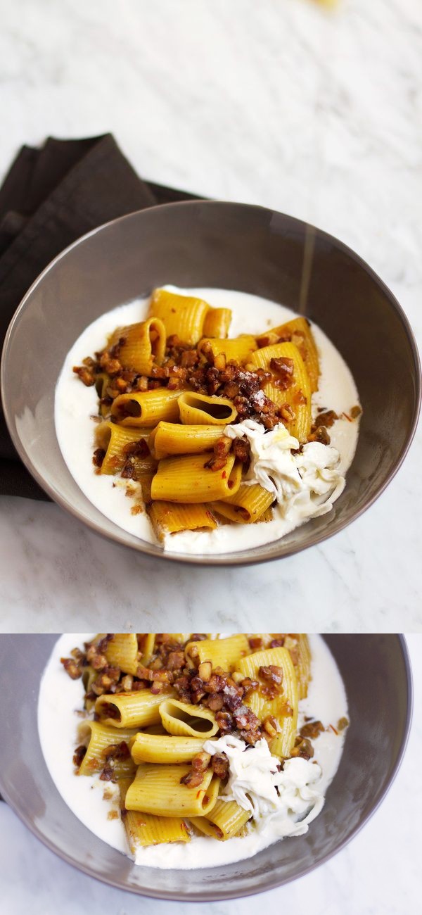 Mezzi Paccheri Pasta with Burrata Cream, Guanciale, and Saffron