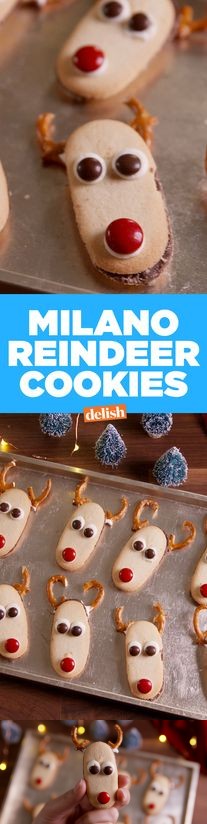 Milano Reindeer Cookies