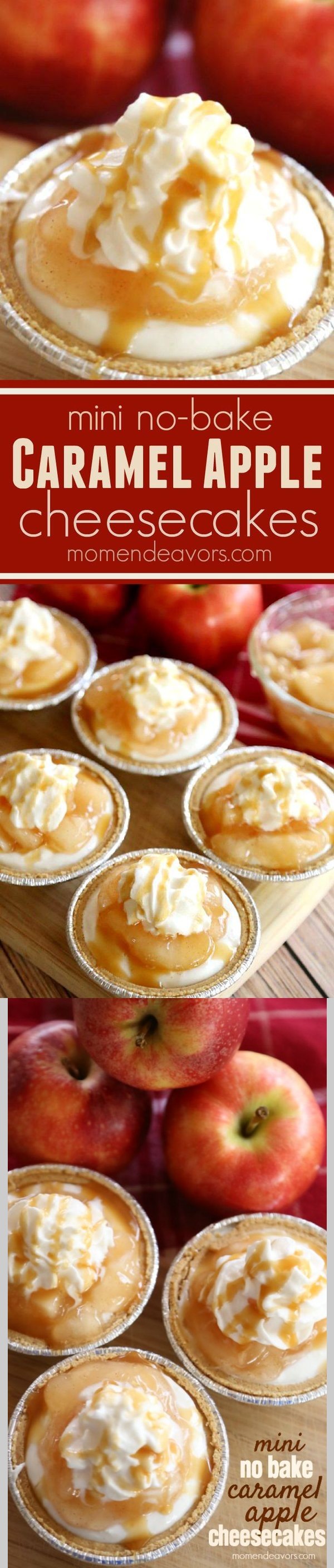 Mini No-Bake Caramel Apple Cheesecakes