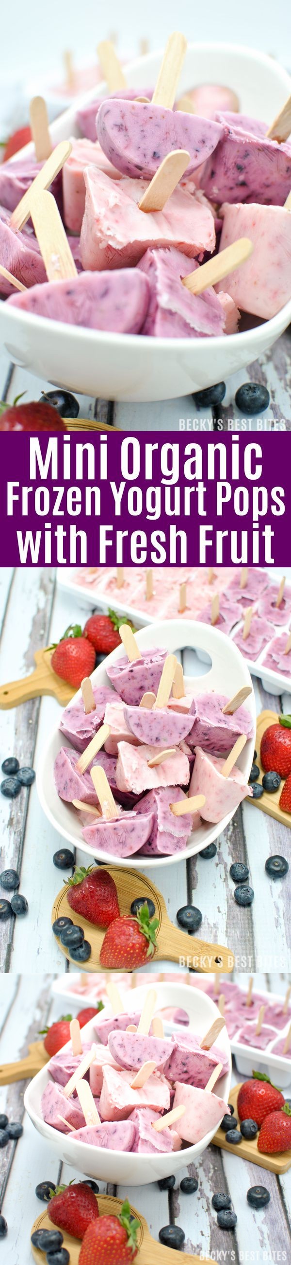 Mini Organic Frozen Yogurt Pops with Fresh Fruit