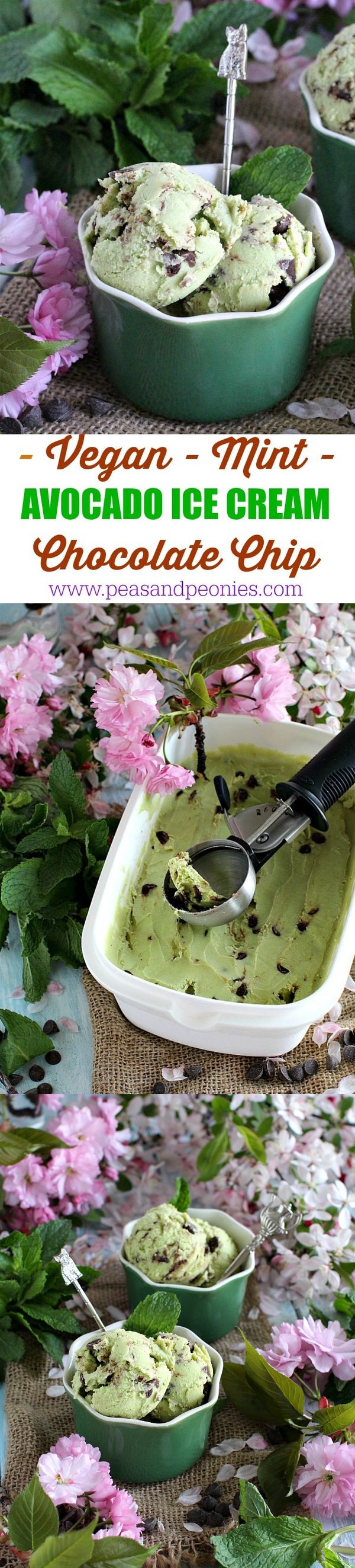 Mint Chocolate Chip Avocado Ice Cream