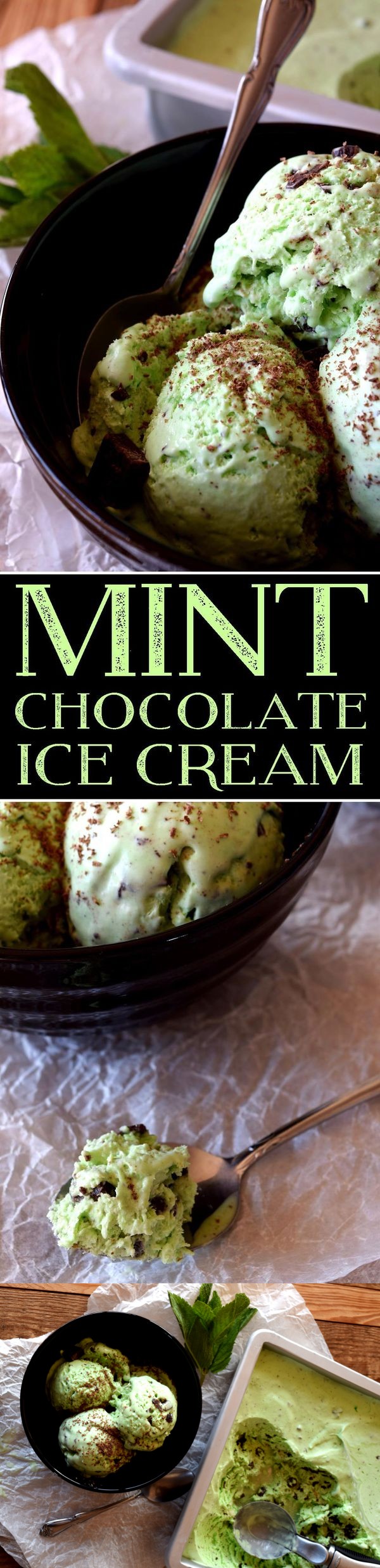 Mint Chocolate Chip Ice Cream