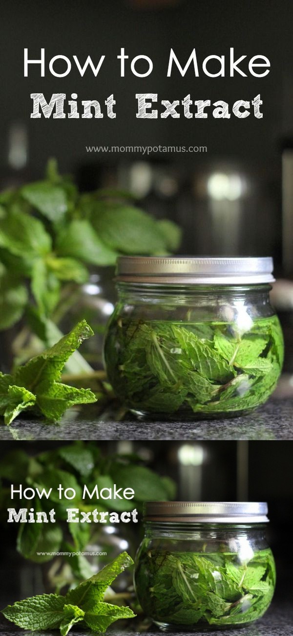 Mint Extract