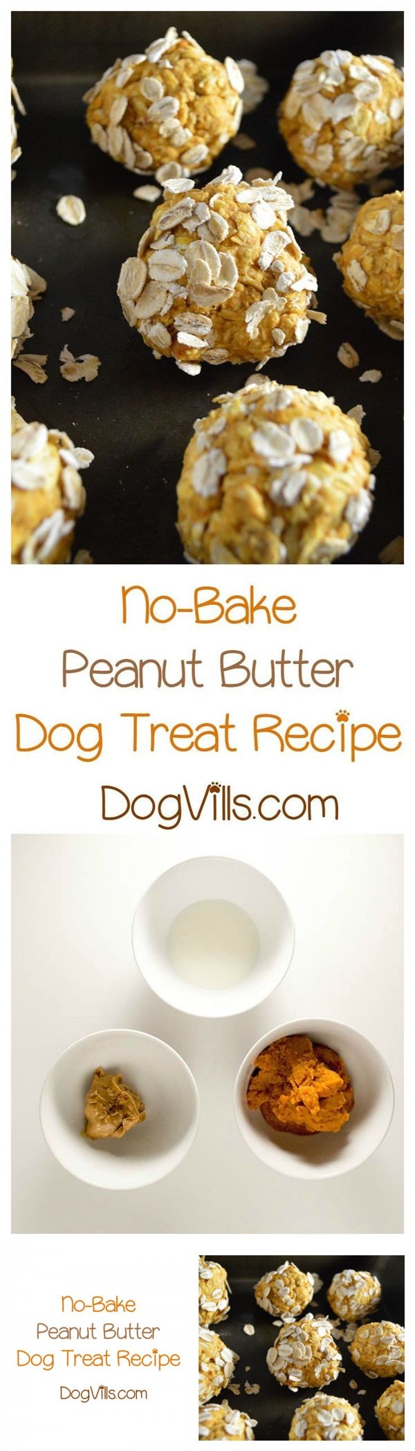 No-Bake Peanut Butter Dog Treat