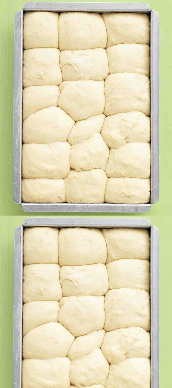 No-Knead Dinner Rolls