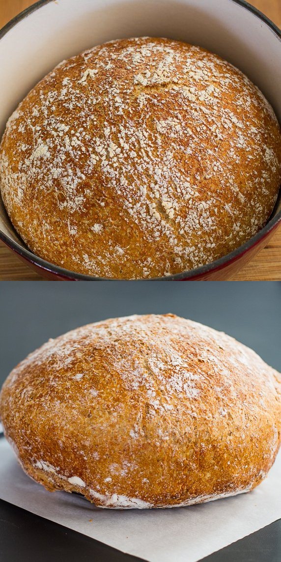 No Knead Dutch Oven Whole Wheat Bread