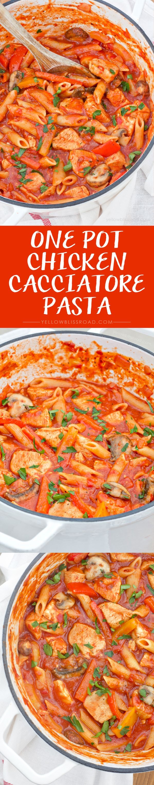 One PotChicken Cacciatore