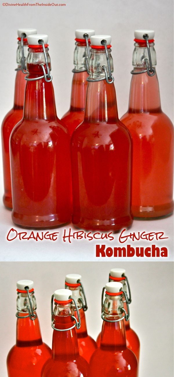 Orange Hibiscus Ginger Kombucha