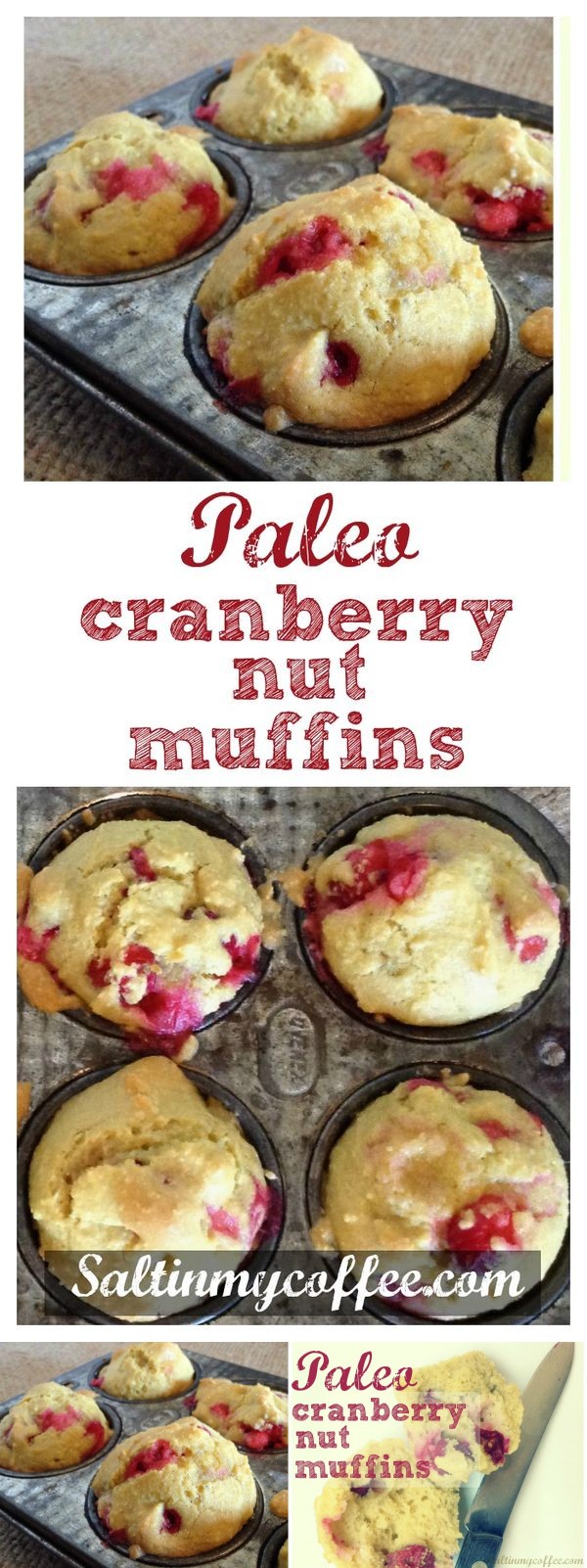 Paleo Cranberry Nut Muffins