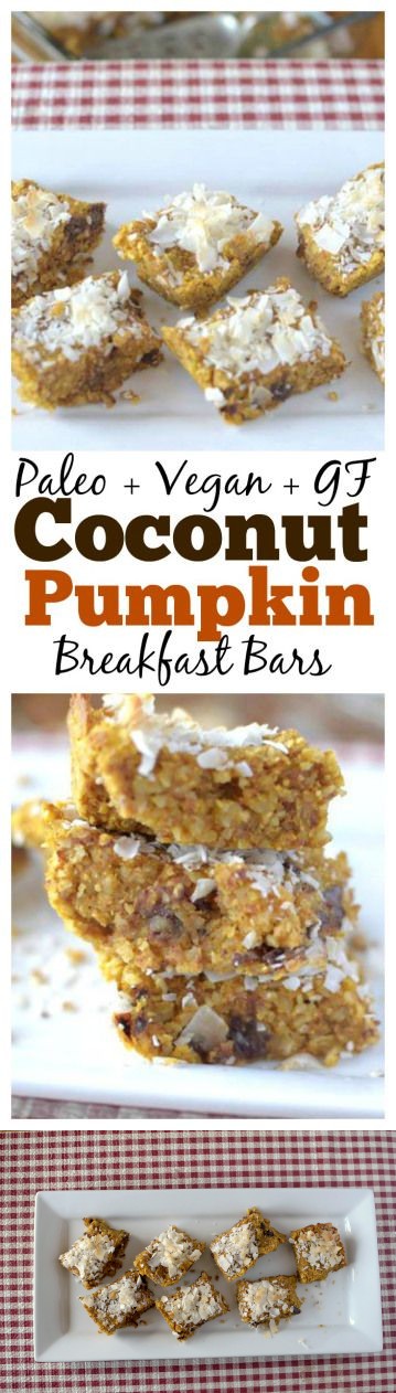 Paleo Pumpkin Coconut Breakfast Bars