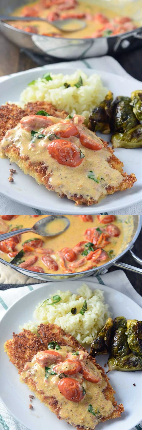 Parmesan Crusted Tilapia with Tomato-Basil Cream Sauce