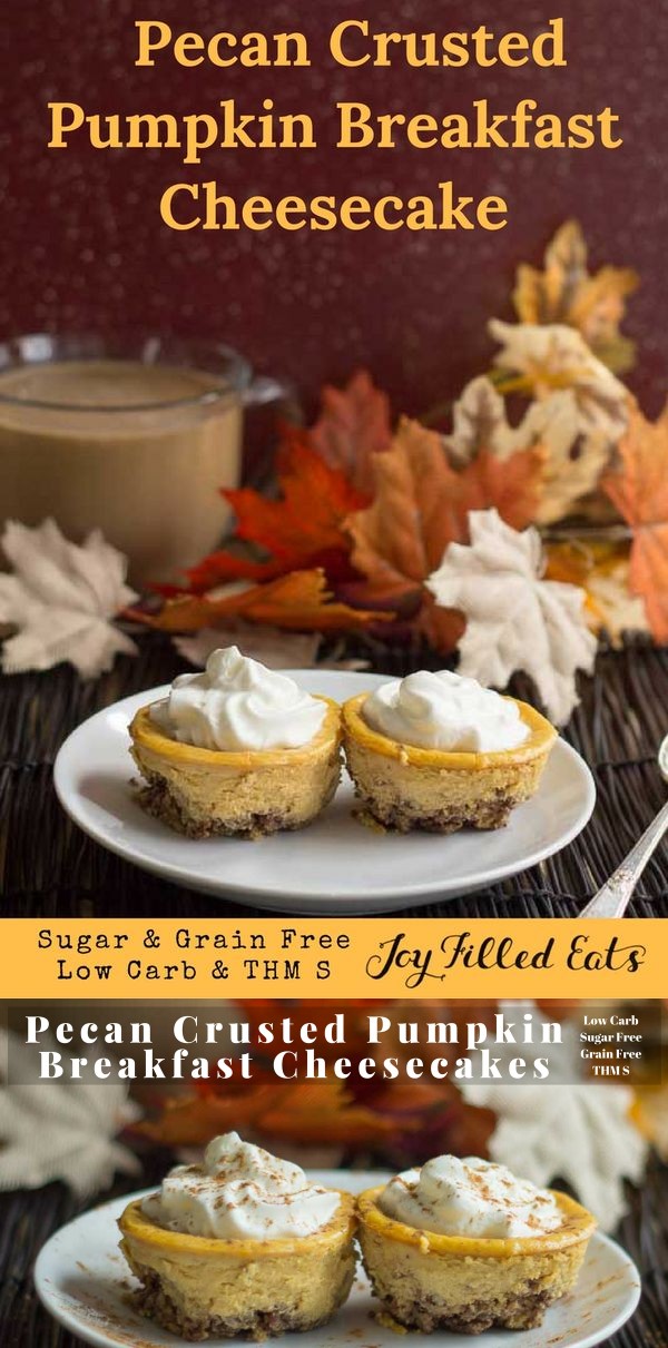 Pecan Crusted Pumpkin Breakfast Cheesecakes