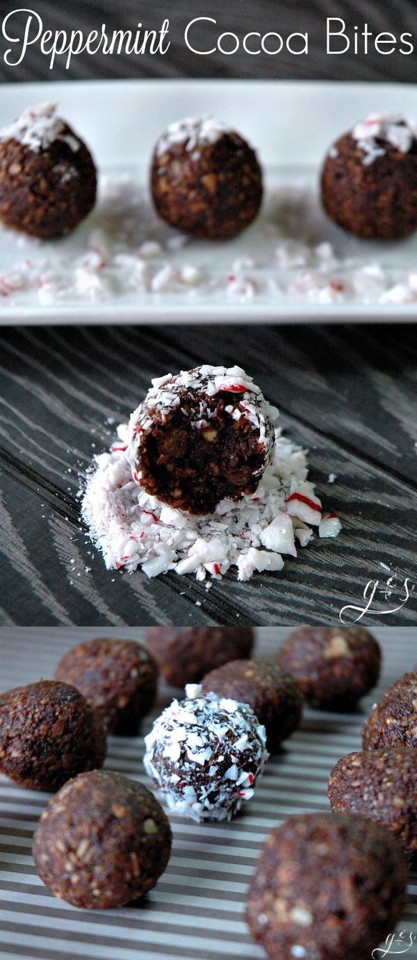 Peppermint Cocoa Bites