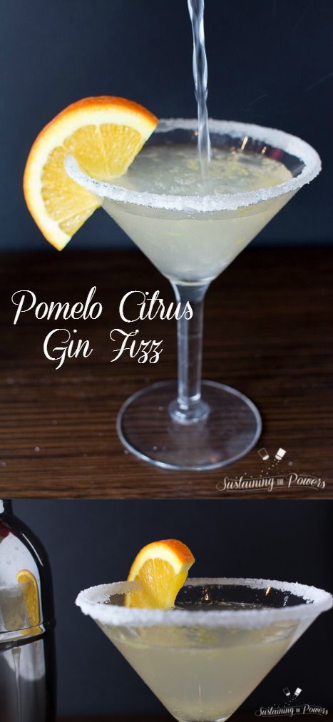 Pomelo Citrus Gin Fizz