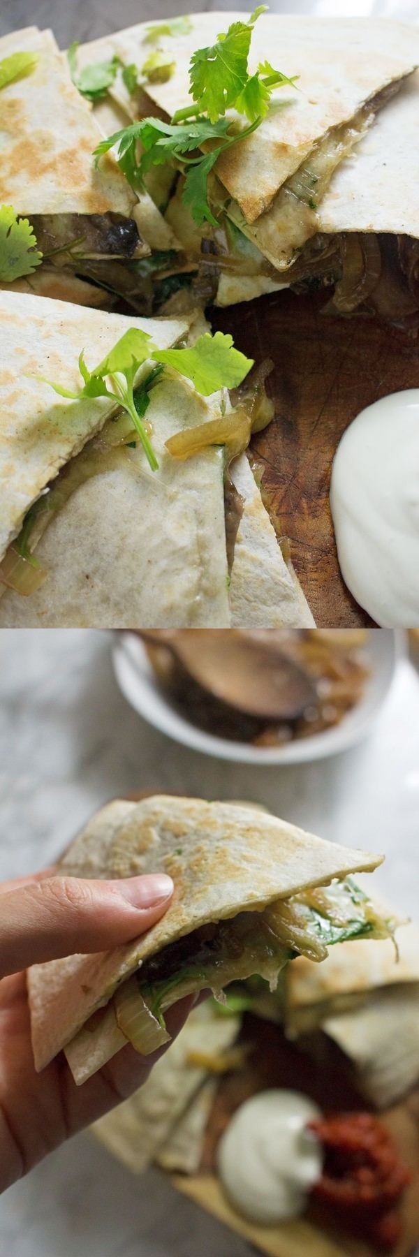 Portobello & Caramelised Onion Quesadillas